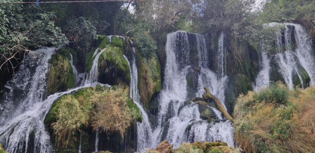 Bosna a Hercegovina «10.8.2024»