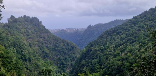 Madeira-severné pobrežie «29.3.2025»