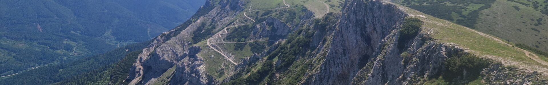 Heukuppe «14.6.2025»