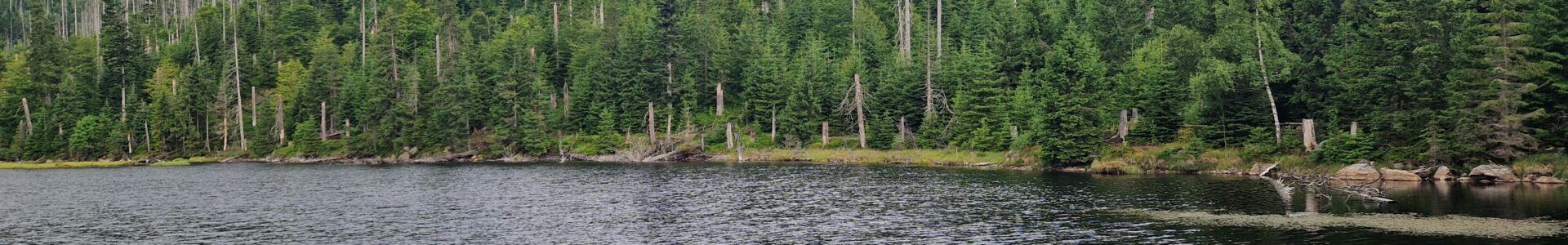 Šumava, jazero Laka «16.7.2025»
