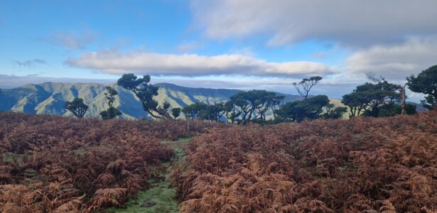 Madeira, Porto Moniz «24.10.2025»
