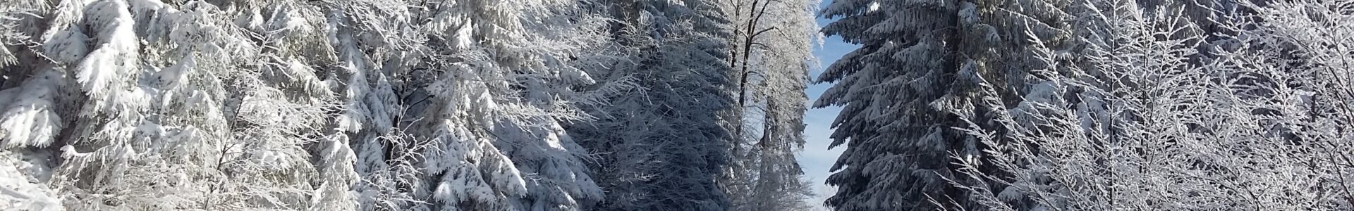 Krkonoše peši i na lyžiach, 20.-23.1.2026