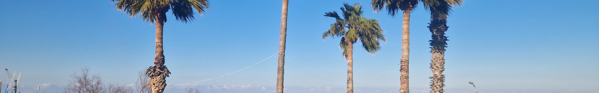 Apúlia – Bari «2.2.2026»